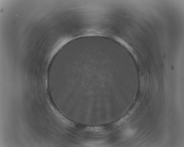 X0000062831415200601201601