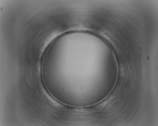 X0000062831416200601201601