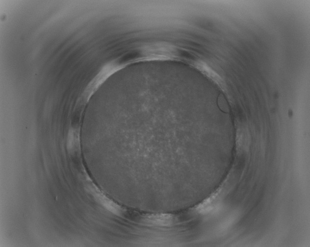 X0000062831417200601201601