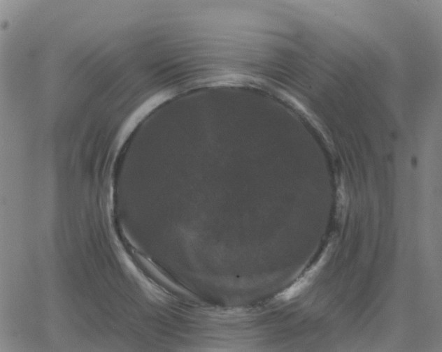 X0000062831418200601201601