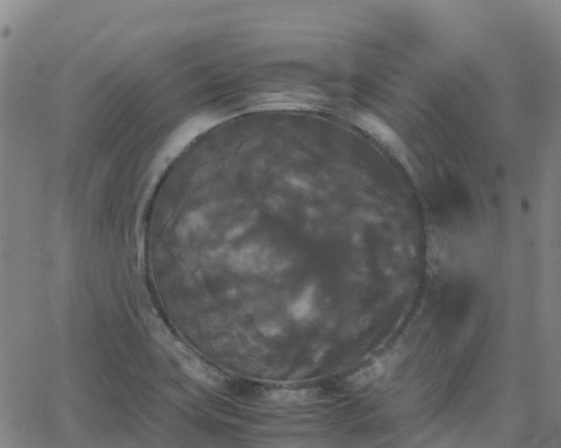 X0000062831419200601201601