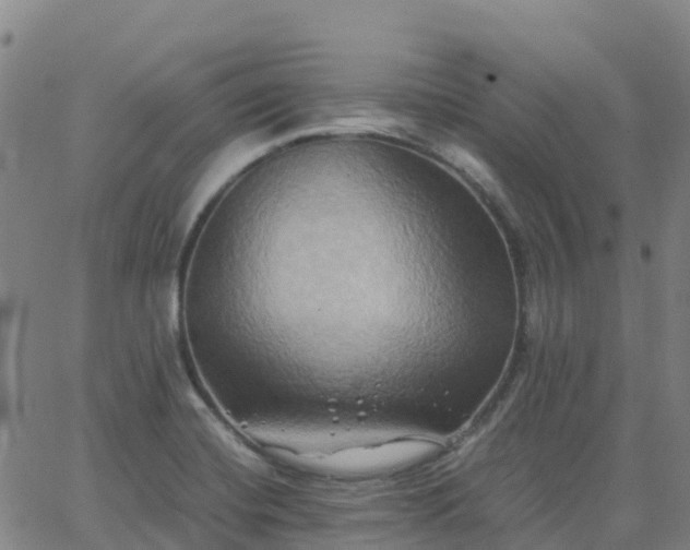 X0000062831420200601201601