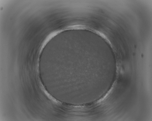 X0000062831421200601201601