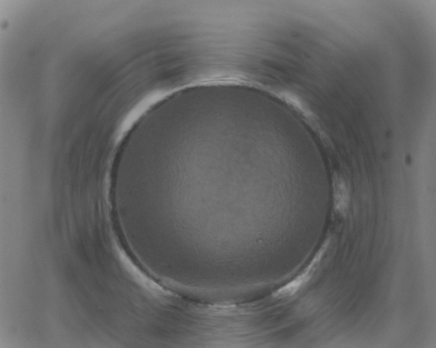 X0000062831422200601201601