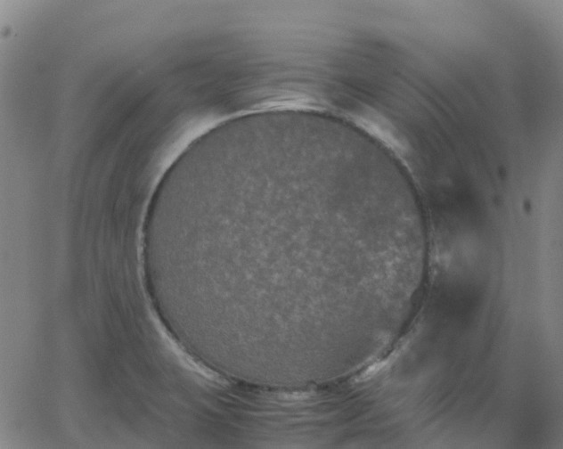 X0000062831423200601201601