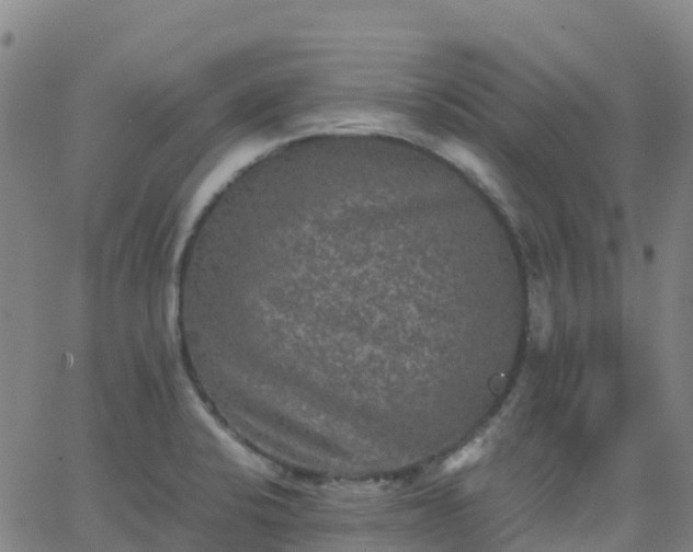 X0000062831424200601201601