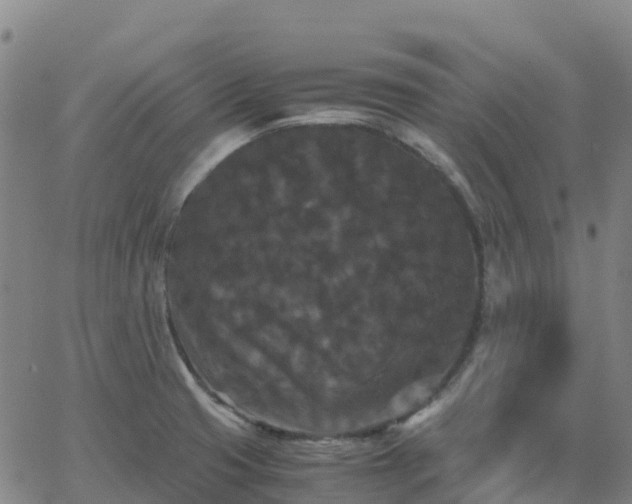 X0000062831425200601201601