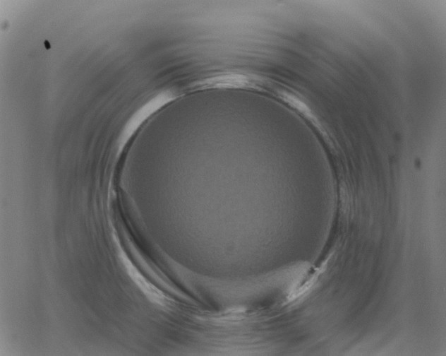 X0000062831426200601201601