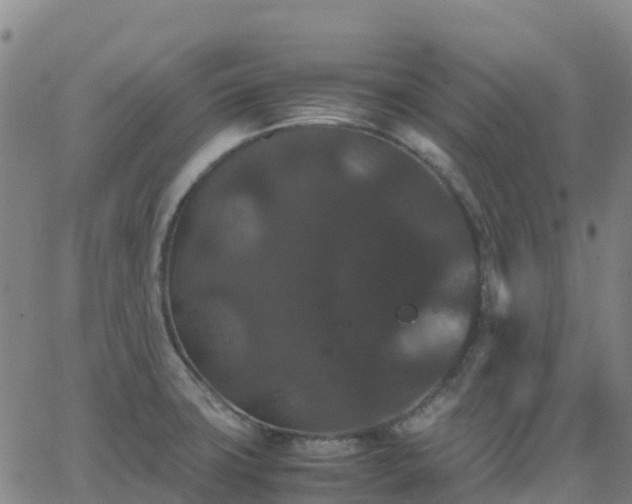 X0000062831427200601201601