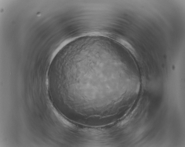 X0000062831428200601201601