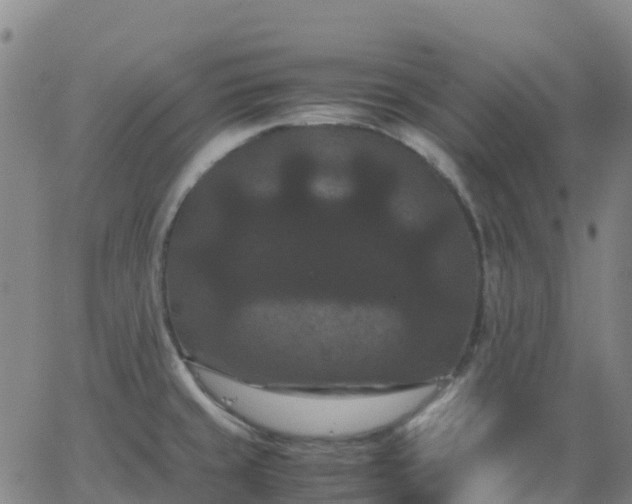 X0000062831429200601201601