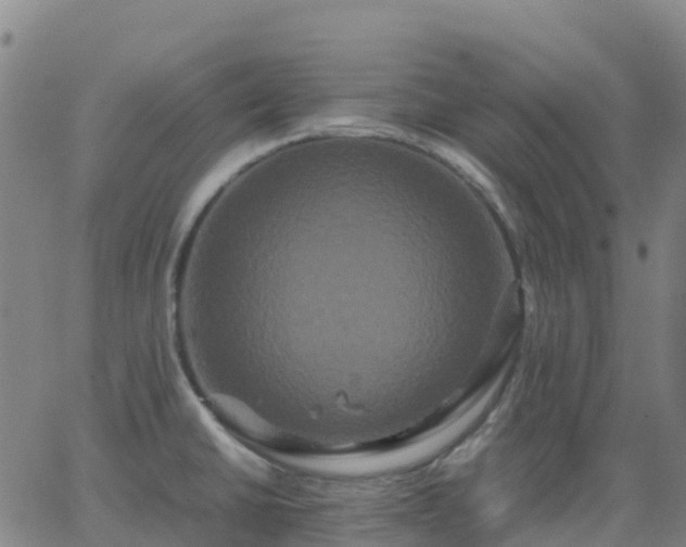 X0000062831430200601201601