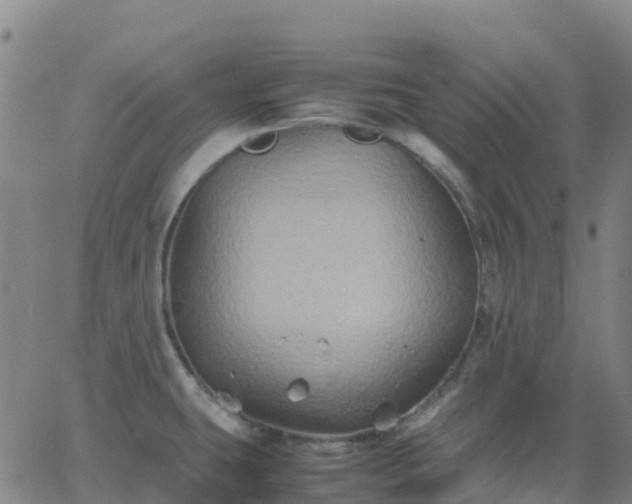 X0000062831431200601201601