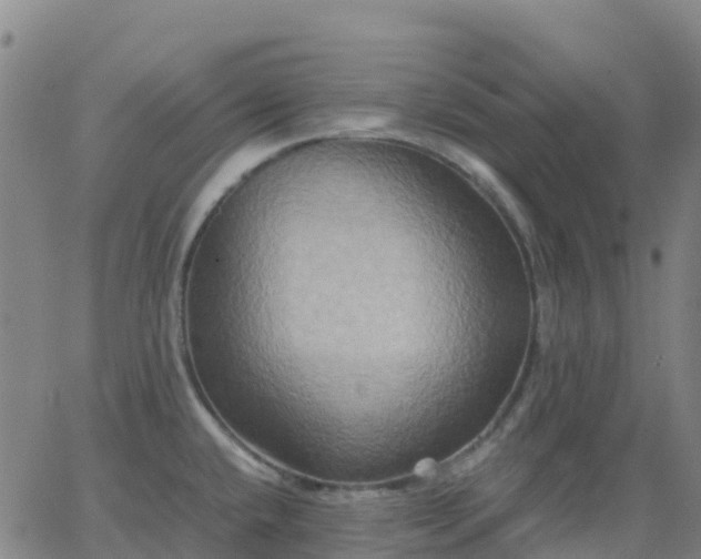 X0000062831432200601201601