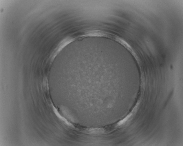 X0000062831433200601201601