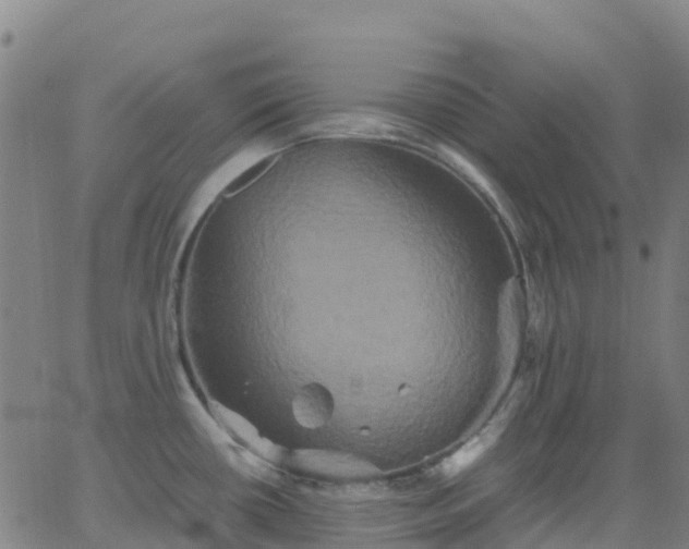 X0000062831434200601201601