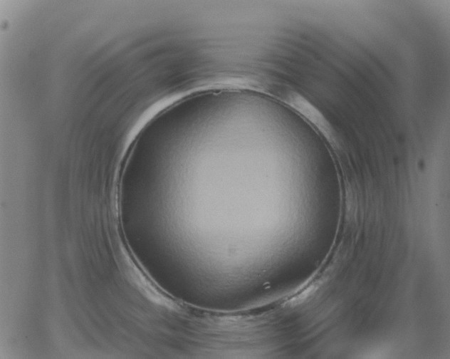 X0000062831436200601201601