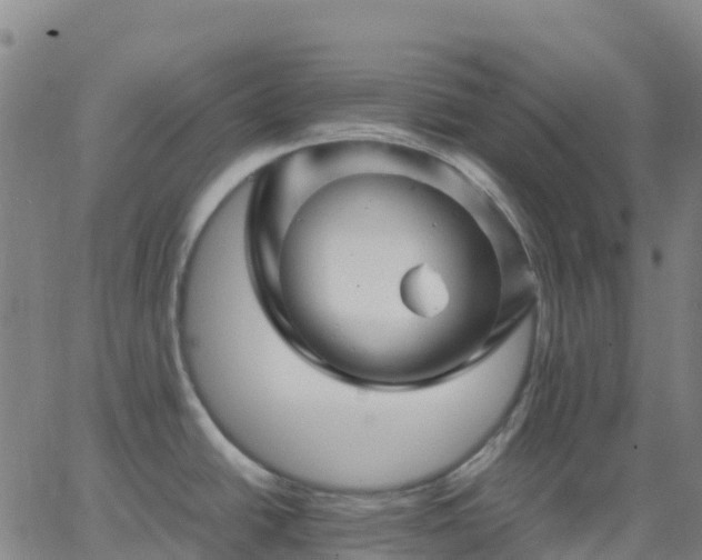 X0000062831438200601201601