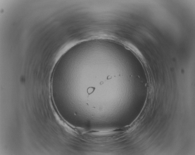 X0000062831439200601201601