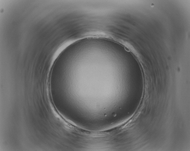 X0000062831440200601201601