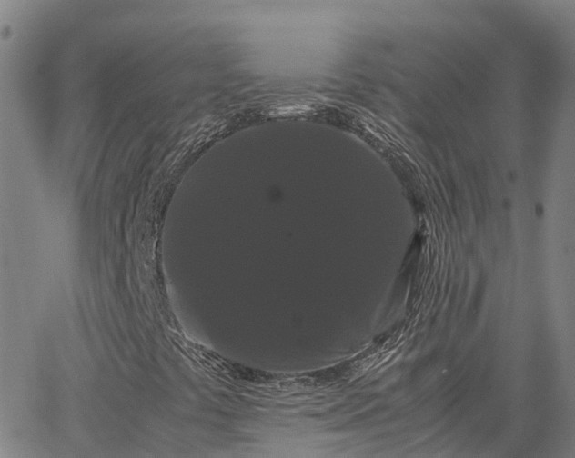 X0000062831441200601201601