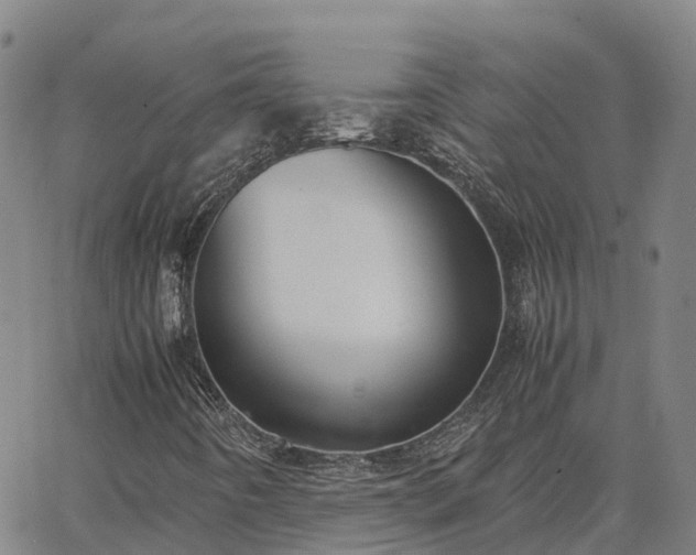 X0000062831442200601201601