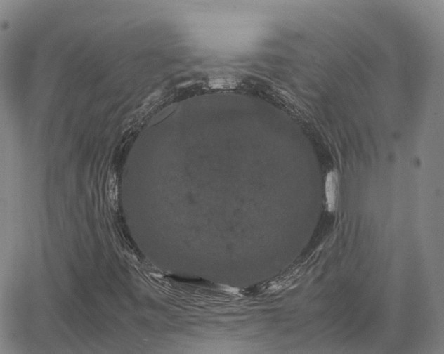 X0000062831443200601201601