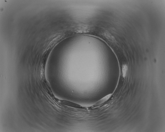 X0000062831444200601201601