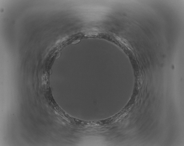 X0000062831445200601201601