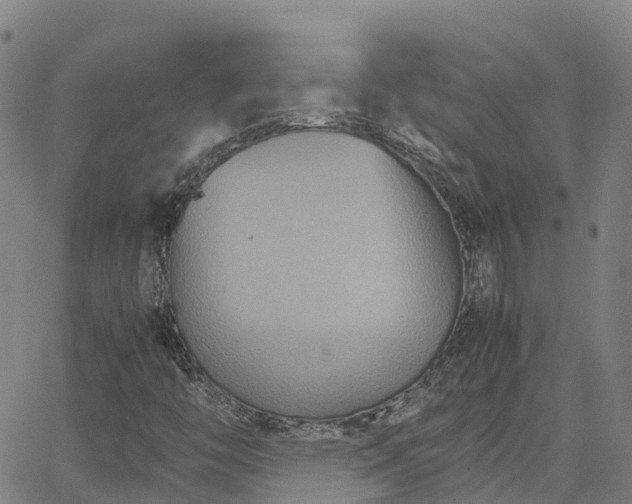 X0000062831446200601201601