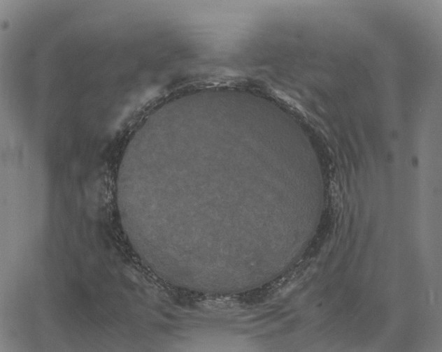 X0000062831447200601201601