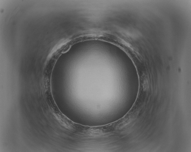 X0000062831448200601201601