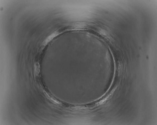 X0000062831449200601201601