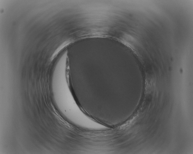 X0000062831450200601201601