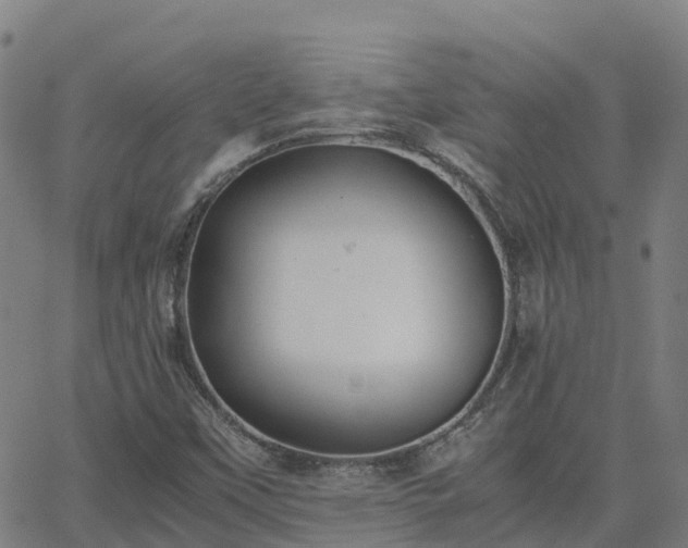 X0000062831451200601201601