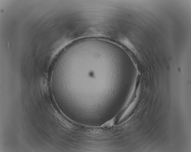 X0000062831452200601201600