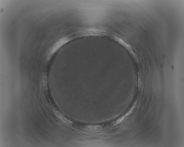 X0000062831453200601201600