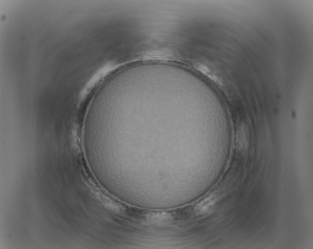 X0000062831454200601201600