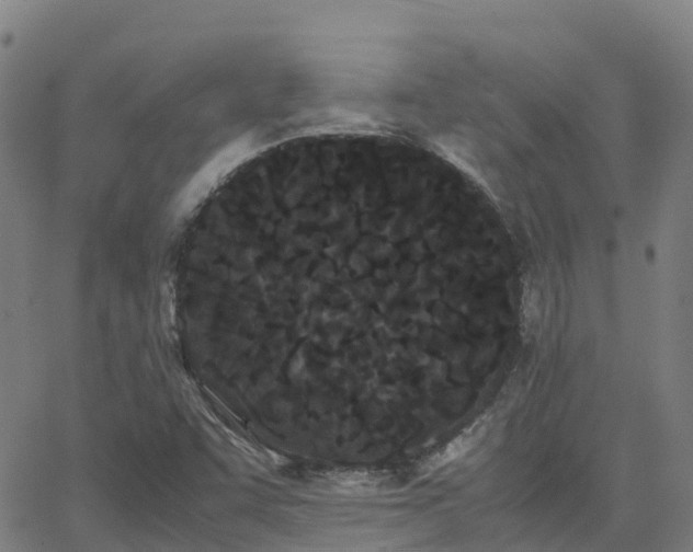 X0000062831455200601201600