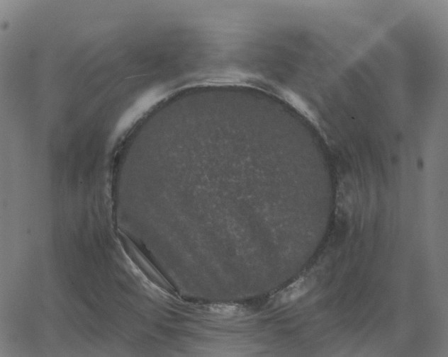 X0000062831456200601201600