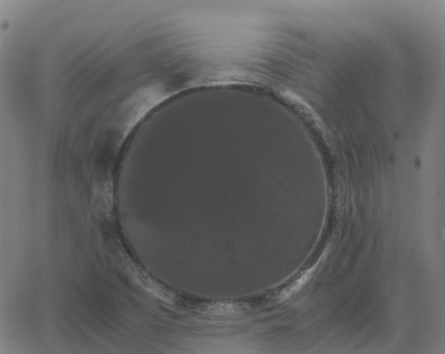 X0000062831457200601201600