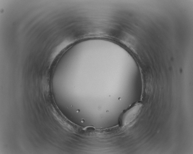 X0000062831458200601201600