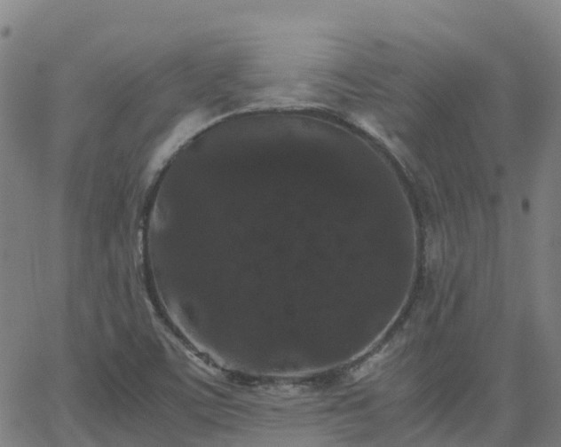 X0000062831459200601201600