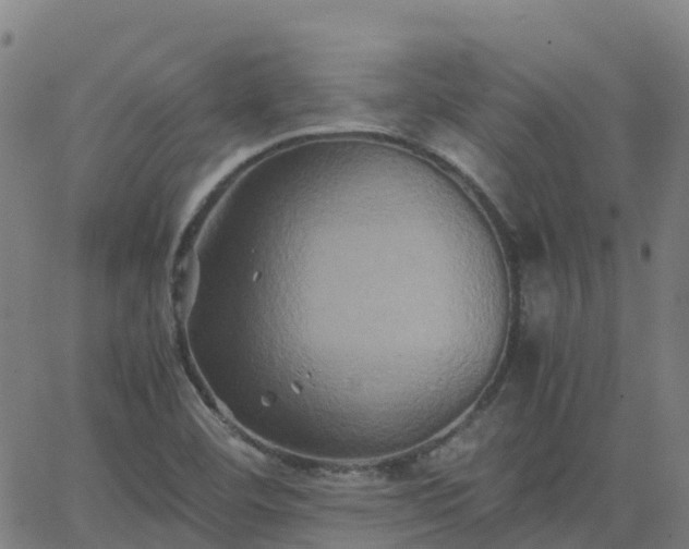 X0000062831460200601201600