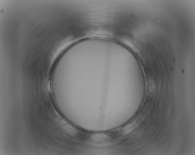 X0000062831462200601201600