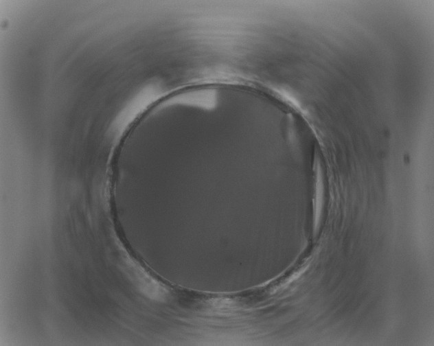 X0000062831463200601201600