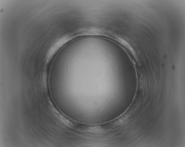 X0000062831464200601201600