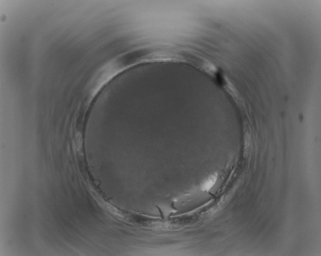 X0000062831465200601201600