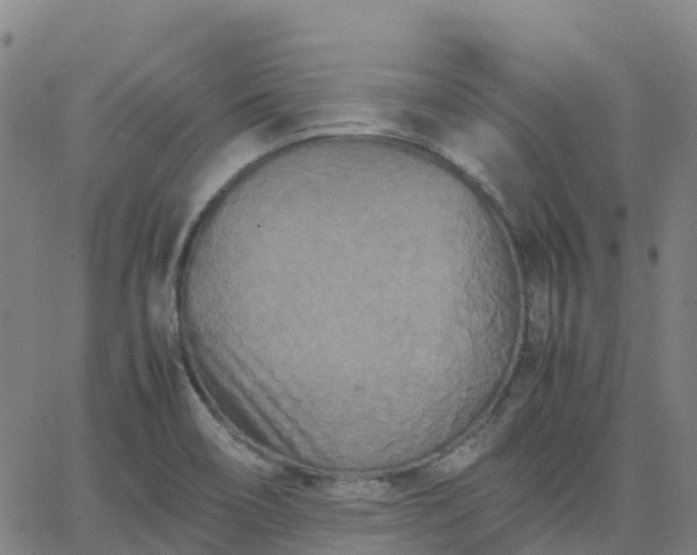 X0000062831466200601201600