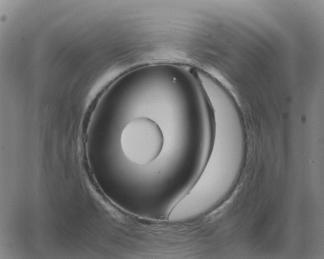 X0000062831469200601201600